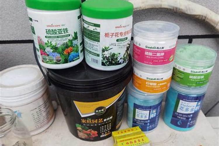 不开花缺什么肥料