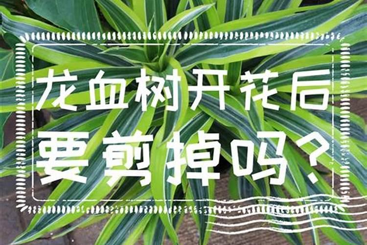 多少个钾才叫高钾肥