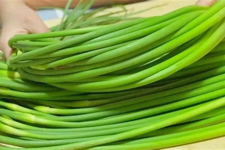 黄瓜浇什么肥料合适