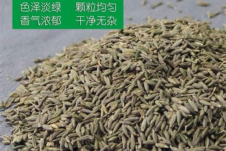 油菜什么时候施硼肥最好