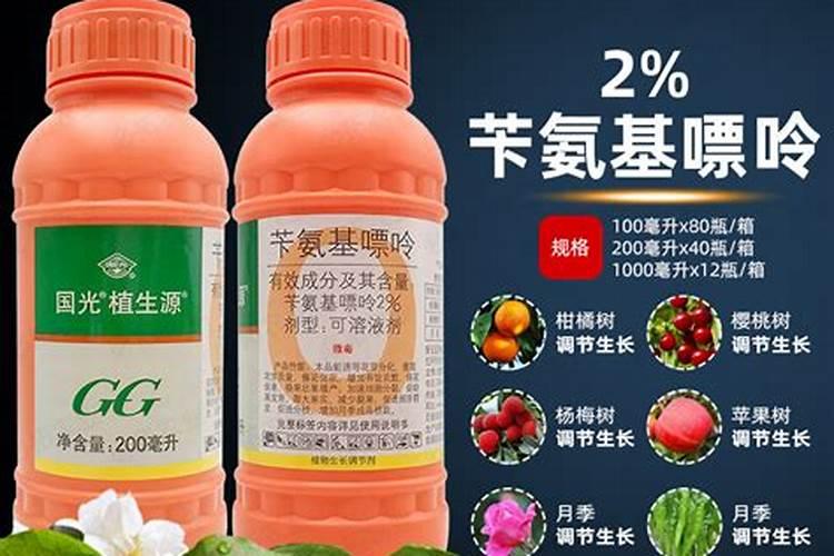橘子树在开花的时候怎么施肥呀 橘子树在开花的时候如何施肥