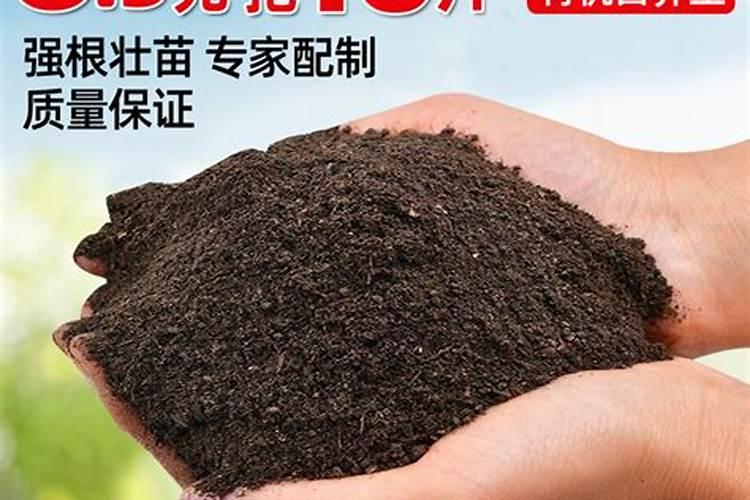 种草梅用什么土好？
