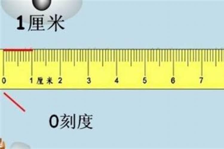 复合肥一盆施几粒 如何给花施肥