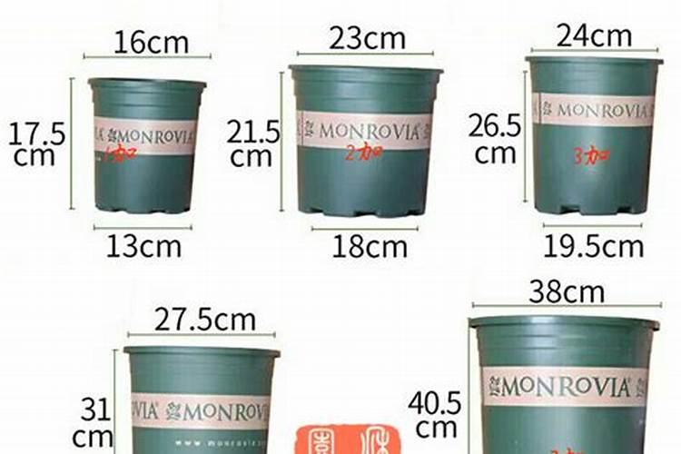 一盆花放几粒复合肥