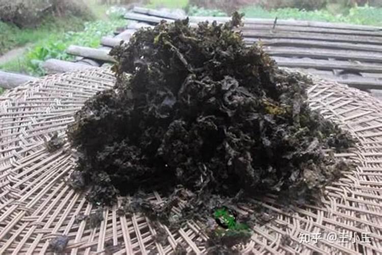 地皮菜怎么洗干净(如何快速清洗地皮菜)