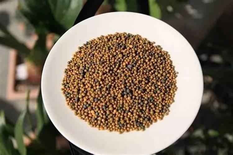 一般草花下哪种肥料好
