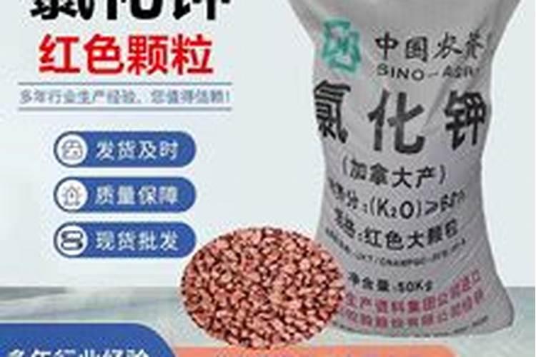 加拿大钾肥和俄罗斯红钾肥颜色区别