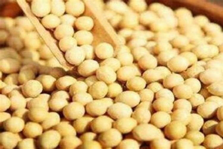 黄豆开花用什么药能高产 种一亩纯利润多少