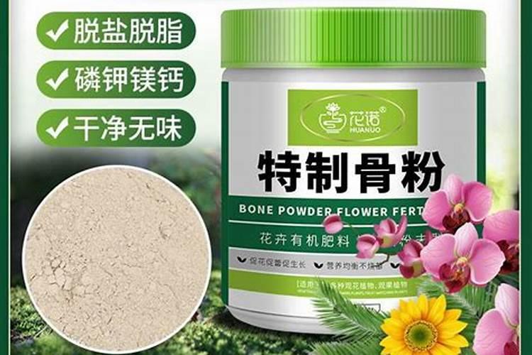 三角梅施肥什么肥最好 三角梅缺铁黄叶怎么追肥