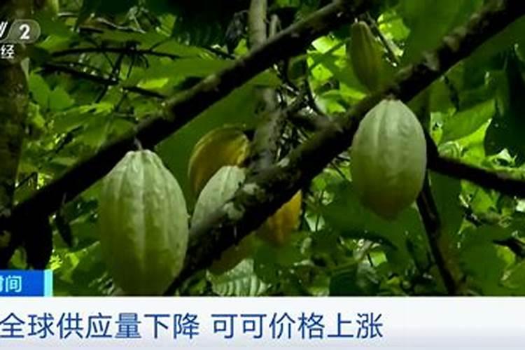 过期巧克力存在哪些可利用之处