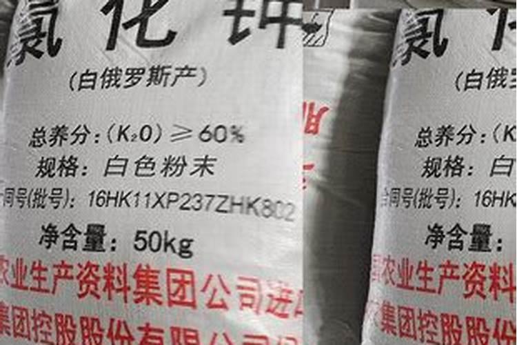 江阴沃尔富复合肥25136。45含量红钾好白钾好