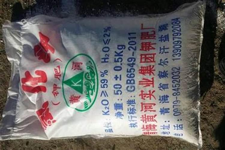水稻施钾肥的时候,有哪些需要注意的地方？