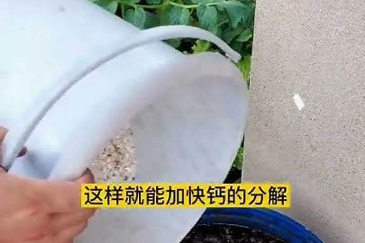 开春追肥用什么肥料好