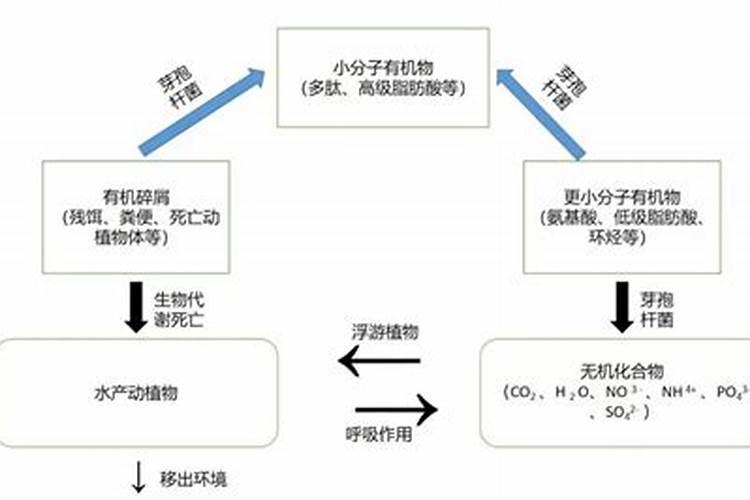 西安搜宝中心有哪些公司