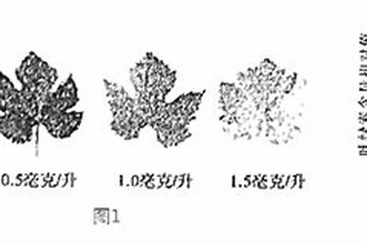 有机硒肥的优缺点是什么