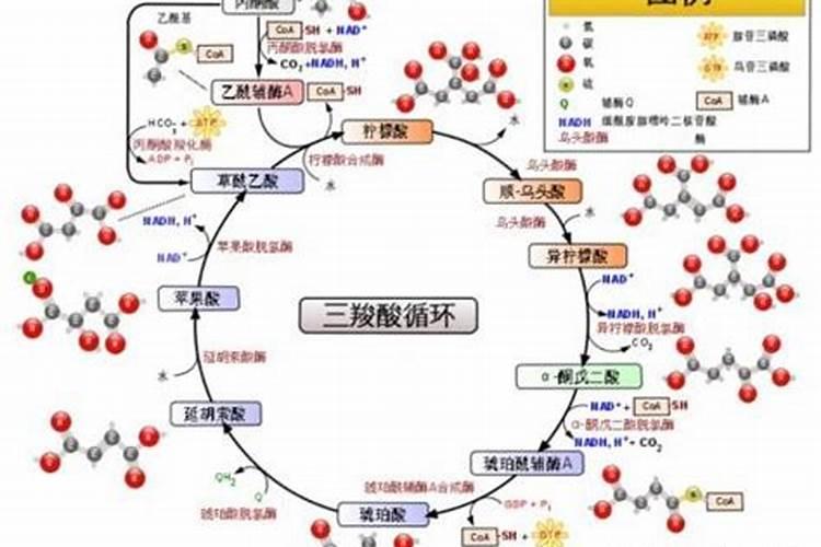 怎样使鱼快速解冻？