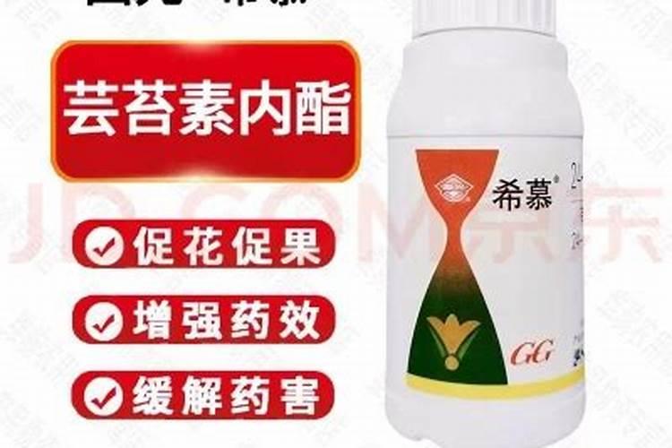 芸苔素内酯使用方法与用量