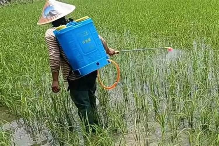 阿维螺螨酯和炔螨特能混用吗