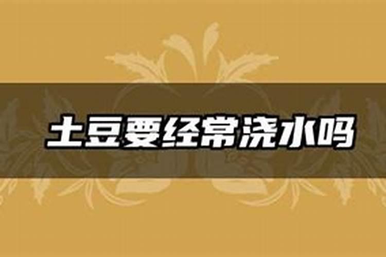 种土豆什么时候施肥