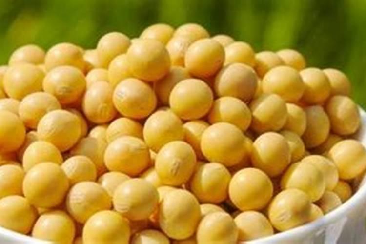 粗蛋白在饲料里面起什么作用 哪些属于粗蛋白