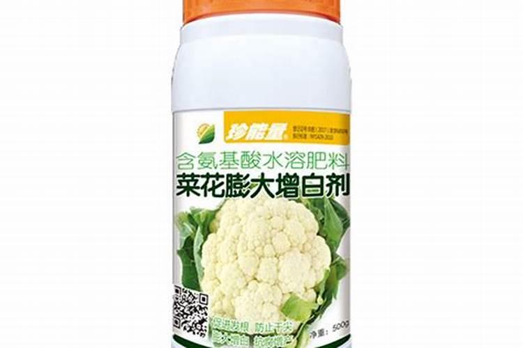 菜花的种植管理技术 长见识了吧