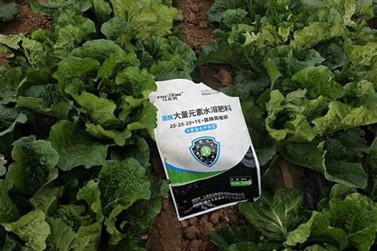 大蒜追肥要合理,种大蒜追肥要注意什么？