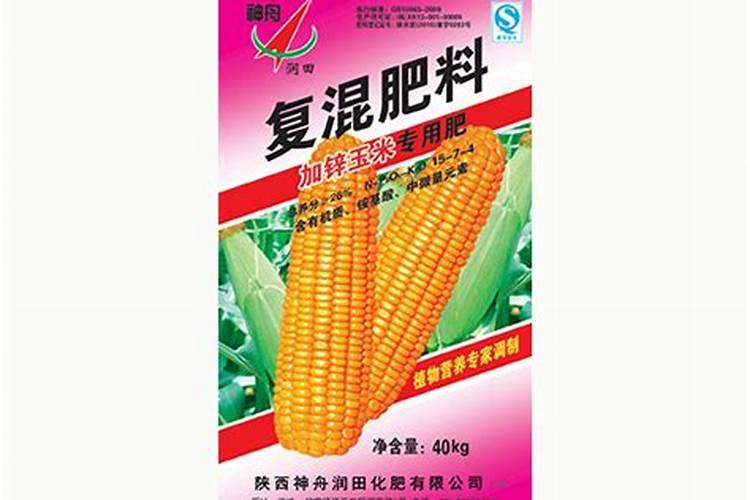 春天种植的月季怎么浇水施肥