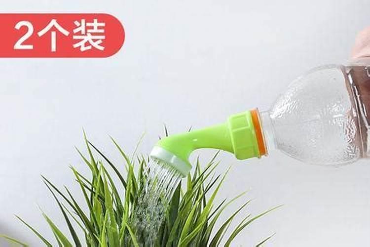 黄腐酸钾水溶肥有什么作用？主要功效是什么？