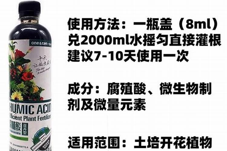 家庭无土种植蔬菜的方法是什么