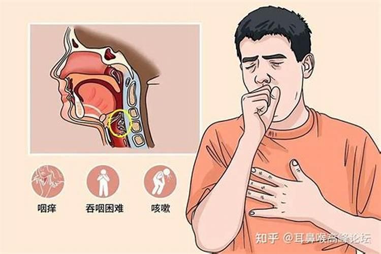 龙牙百合树腐烂倒塌了,得什么病了？该用什么药？怎么办？谢谢
