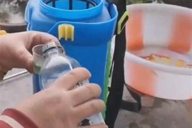 葡萄地里什么时候撒草木灰？