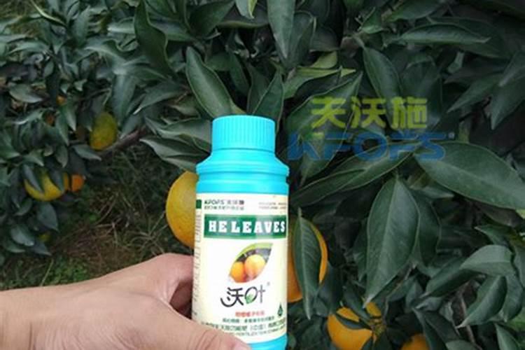 请问芋头要用什么肥料才大个？