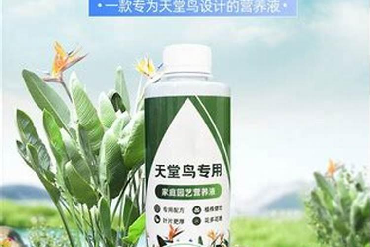 水溶肥什么品牌好？