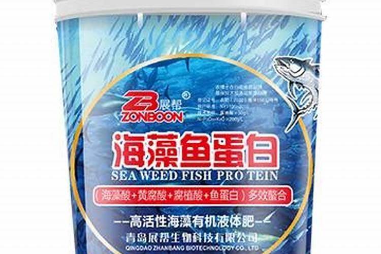 大棚黄瓜苗长势不好该怎么办