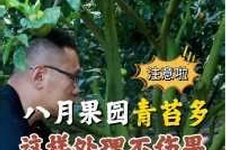 磷肥可以杀青苔吗