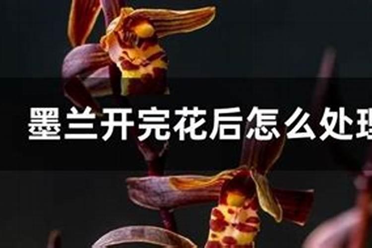 氨基酸水溶肥使用禁忌