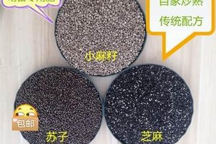 请教养兰高手用做君子兰肥料的(麻子)是蓖麻子吗