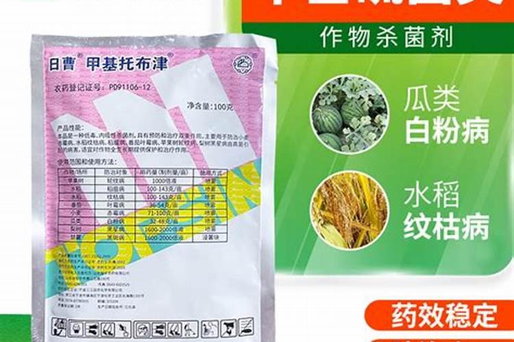 氮肥可以兑水浇花吗