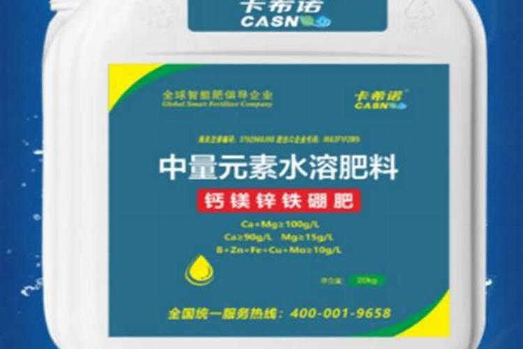 红蜘蛛危害后叶片后怎么恢复植物？