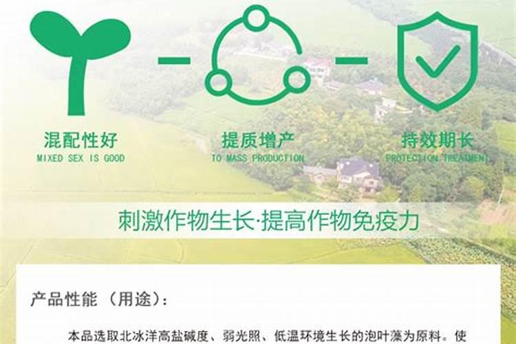 外墙真石漆多少一平方外墙真石漆厂家有哪些