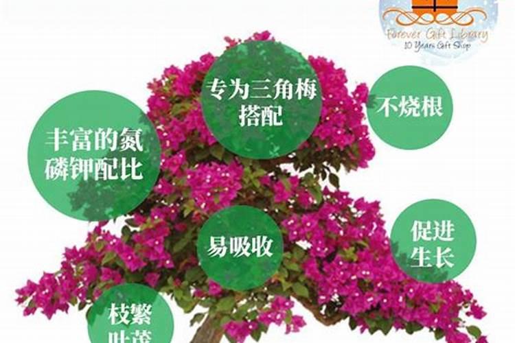 尿素和氮肥有什么区别