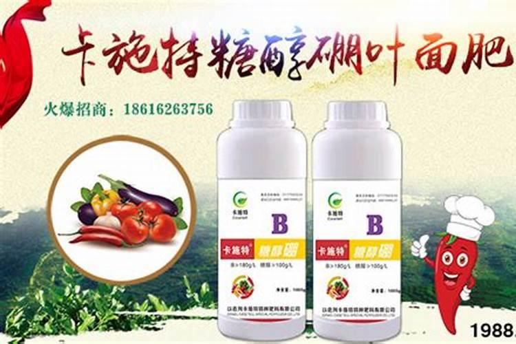 硼肥能直接撒在土上吗
