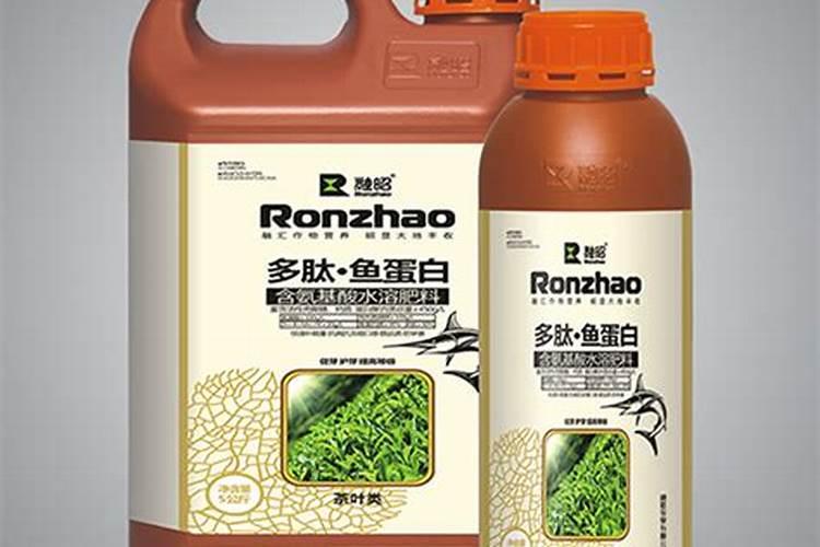 草莓苗什么时候用鱼蛋白