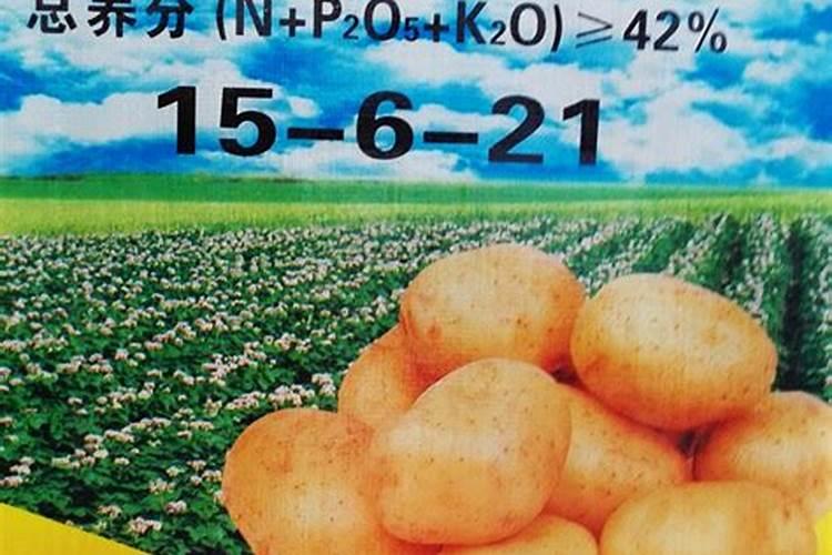 什么东西可以给花当肥料使用、生活中有哪些常用物品可以做花肥