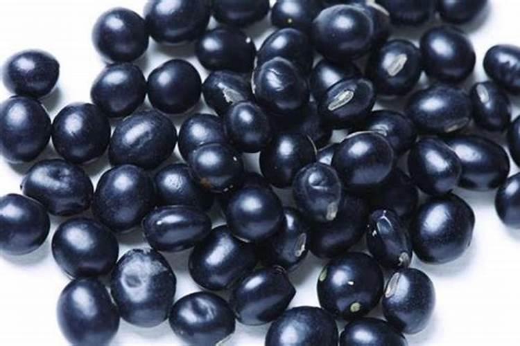 黑小豆什么时候播种合适