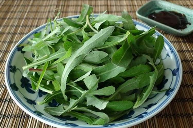 4月份养鹅怎样养草好