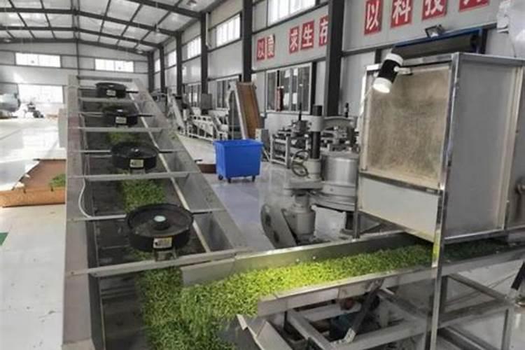 茶叶专用肥料