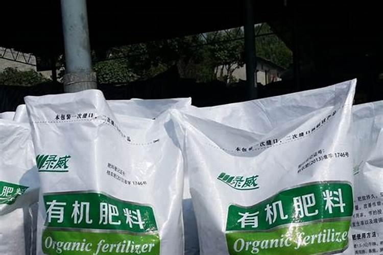 种植苦瓜能有怎样的经济效益？有哪些种植技巧吗？