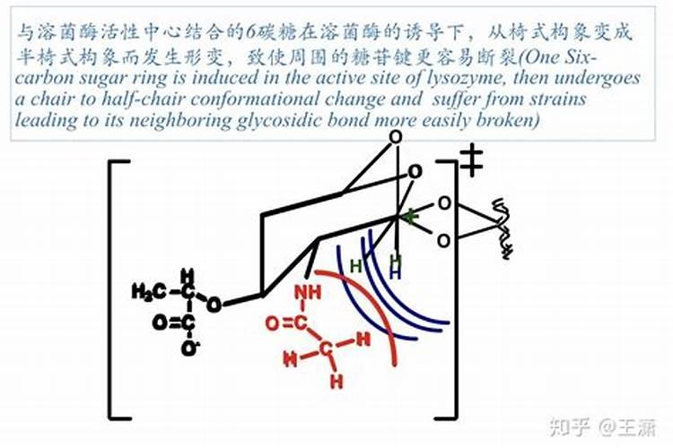 磷肥有什么作用？