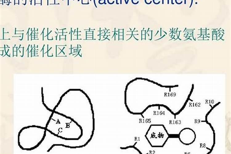 氮磷钾对植物的作用分别是什么